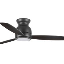 01418 BL - Walnut (1)