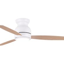 01418 WH Pine Wood (1)