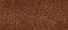 Brown leather